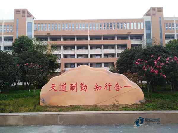 五家渠体育运动木地板