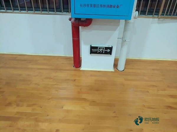 中卫体育运动木地板